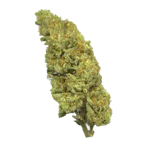 Photo of Hucklebetty