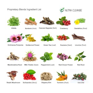 Photo of 10 Day Ultra Detoxification Program