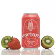 Product image for Sir Newton's Soda Kiwi Strawberry 100mg