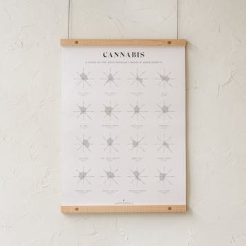 Photo of Cannabis Effects Wheel Infographic Print / Poster