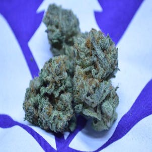 Photo of The Grapefruit