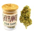 Product image for Star Dawg
