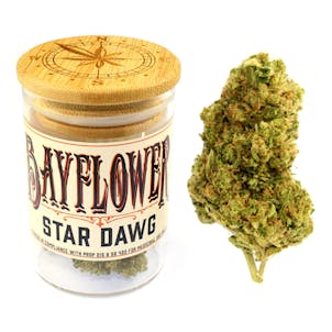 Photo of Star Dawg