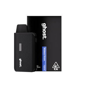 Photo of Blueberry Dream 1g All-In-One Vape