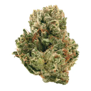 Photo of Sugar Cookies