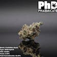 Product image for PhD - Forbidden Runtz Flower - 25.86% THC