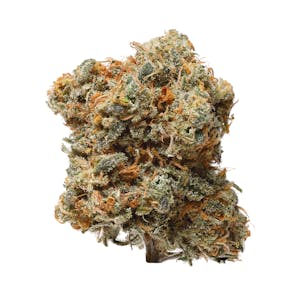 Photo of BC Organic Blue Dream