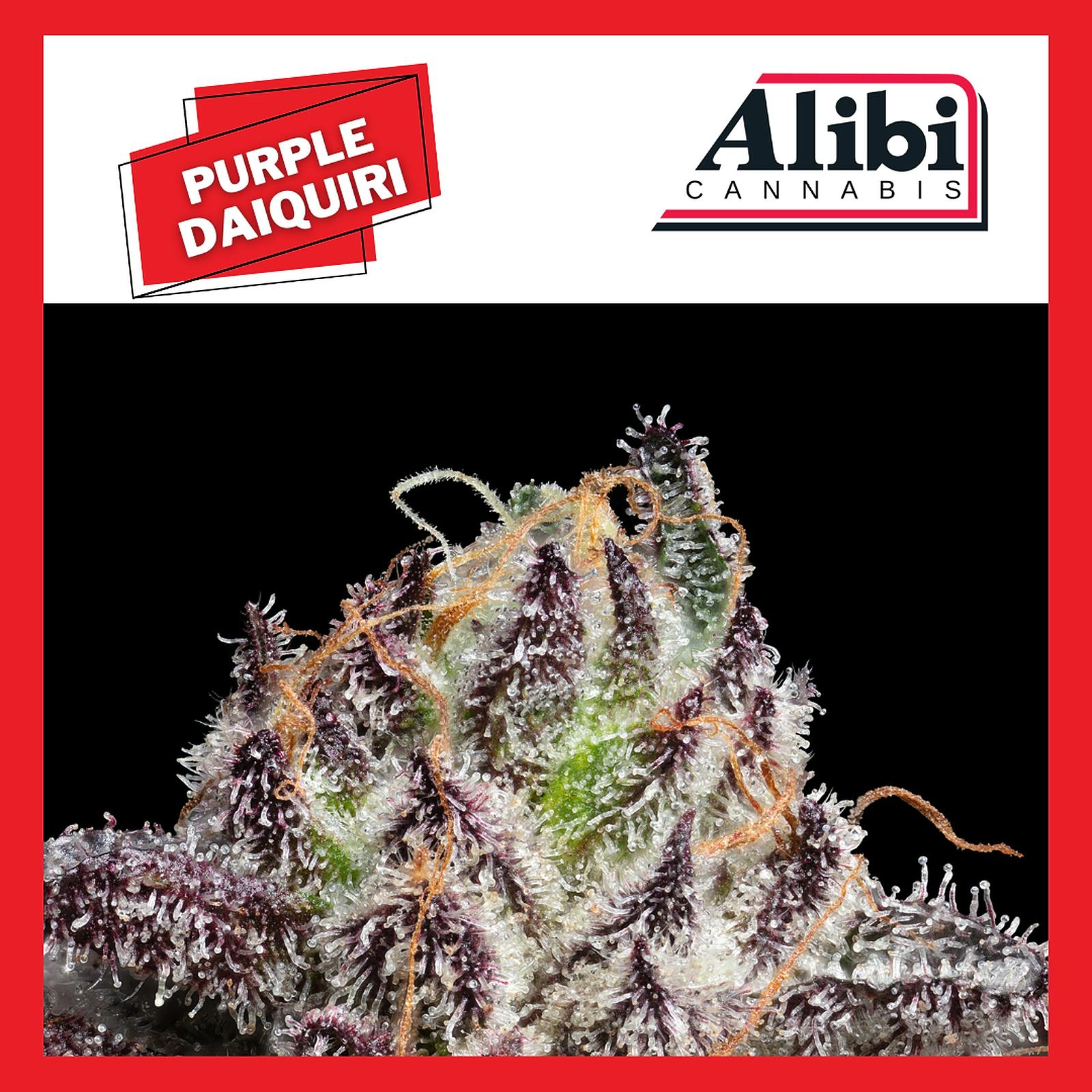 Alibi Purple Daiquiri Leafly