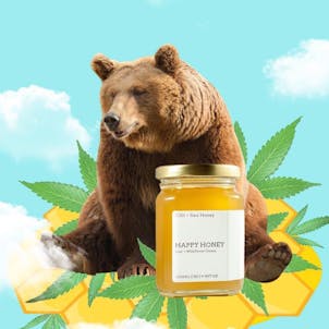 Photo of Happy Honey