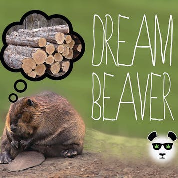 Photo of Dream Beaver Pre-Roll 3g 3-pack