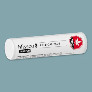 Photo of Critical Plus