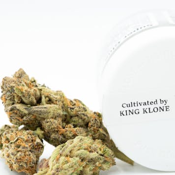 Photo of Marley Studio: Dragonfly Purple