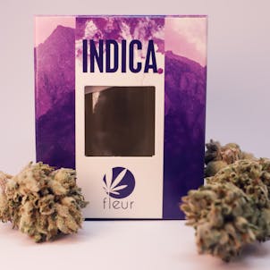 Photo of White Ghani