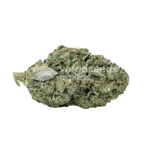 Photo of American Patriot Feminized Seeds