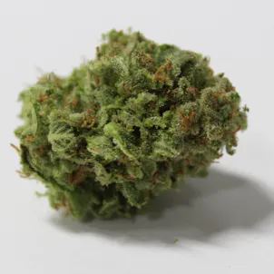 Photo of Gum Wall | Flash Frozen Cured