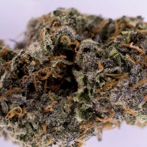 Photo of Professor Chaos