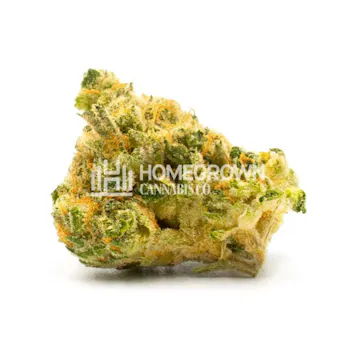 Photo of Northern Lights #10 Feminized