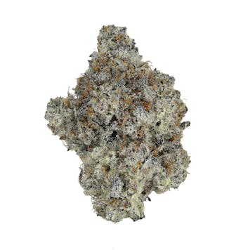 Photo of Oreoz 3.5G
