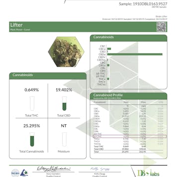 Photo of Lifter Pre Roll