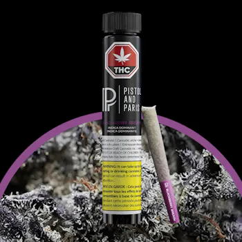 PISTOL AND PARIS : BLACKBERRY BREATH PRE-ROLLS (3x.5g)