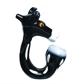 Photo of Cow Sherlock