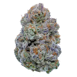 Photo of Southwest Stomper x William's Wonder Trimmed | Gold