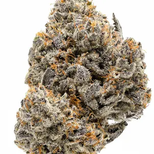 Photo of Biscotti Seeds - Autoflower