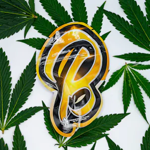 Photo of Churro 3.5g Indoor Flower