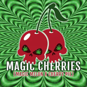 Photo of Magic Cherries