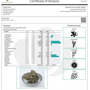 Photo of Indoor White CBG (Triploid)