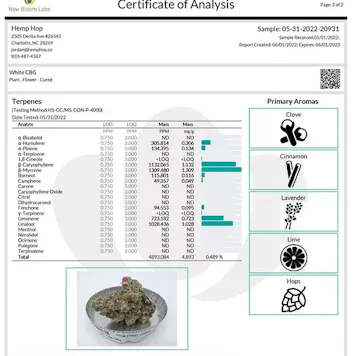 Photo of Indoor White CBG (Triploid)