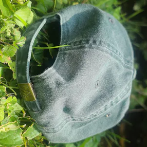 Photo of Bluegrass Cannabis Ballcap