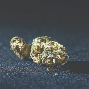 Photo of Van Helsing