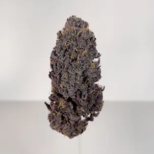 Photo of Magic Purple Petro