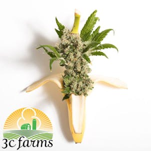 Photo of 3C Banana Split OG