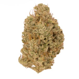 Photo of GG4 (f.k.a. Gorilla Glue #4)