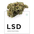 Product image for Lemon Sour Diesel