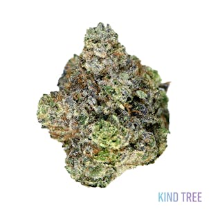 Photo of Gorilla Chem