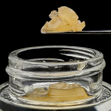 Photo of Wild Bourbon Delta-8 Sauce