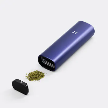 Photo of PAX PLUS - Periwinkle