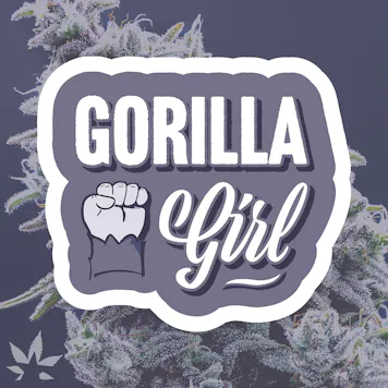 Photo of Gorilla Girl