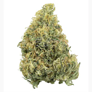 Photo of Lambsbread Trimmed | Gold