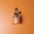Product image for HIFI Starfire Chem Eighth Jar (3.5g)