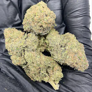 Photo of Abacus Diesel