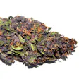 Product image for Purple Haze Auto 1960's