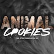 Product image for Animal Cookies