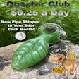 Product image for $0.25 a Day Quarter Club