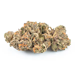 Photo of 1/8 oz Cherry Pie Indoor Flower