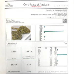 Photo of Organic Masala Chai CBD Tea