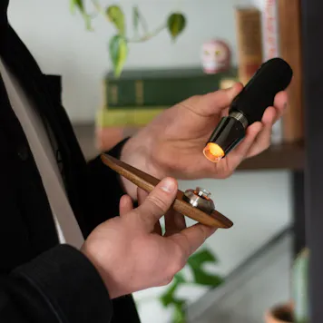 Photo of The Terp Surfer Pipe